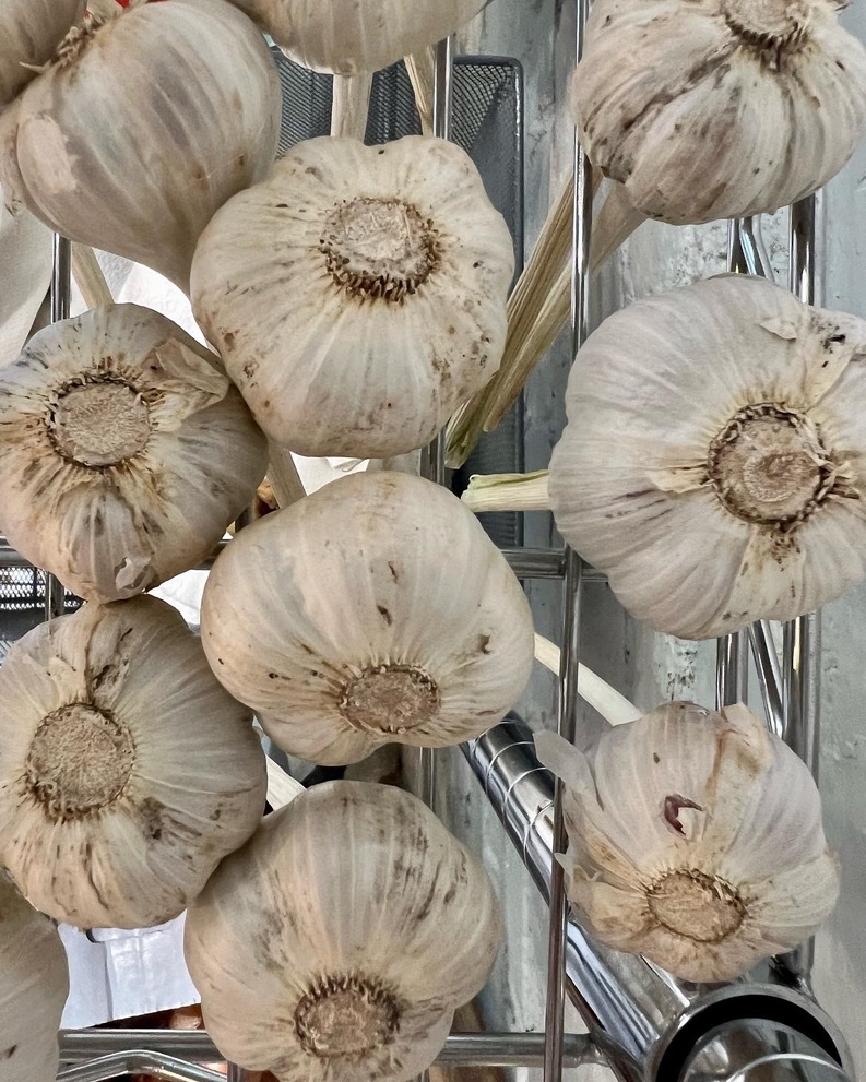 Flavor Country Farm Garlic Bulbs ($1.5/oz)
