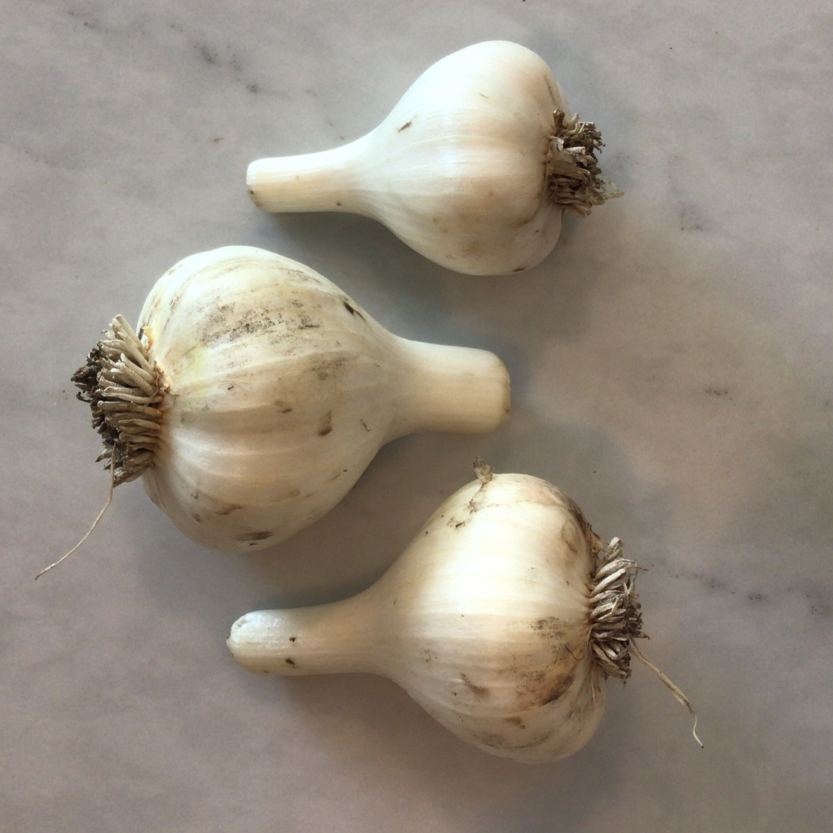 Flavor Country Farm Garlic Bulbs ($1.5/oz) - image 2