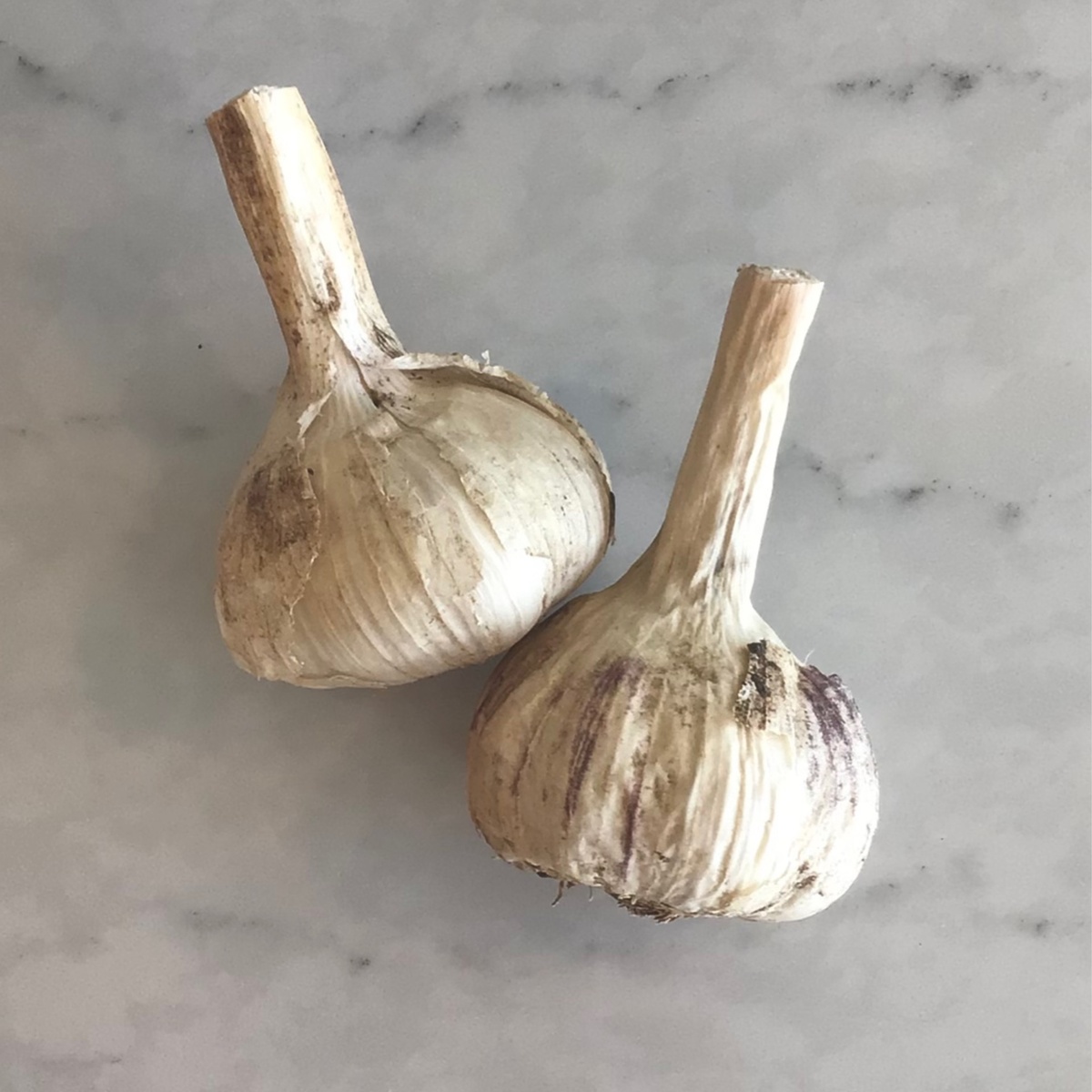 Iowa Food Hub Garlic Bulbs (90c/oz)