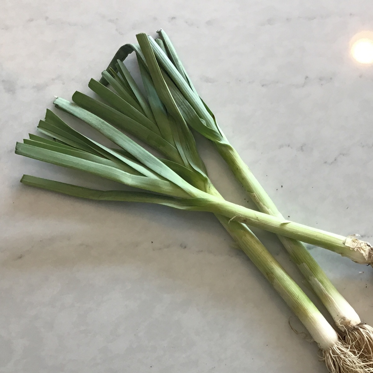 Meristem Farm Leeks, Organic (Bunch)