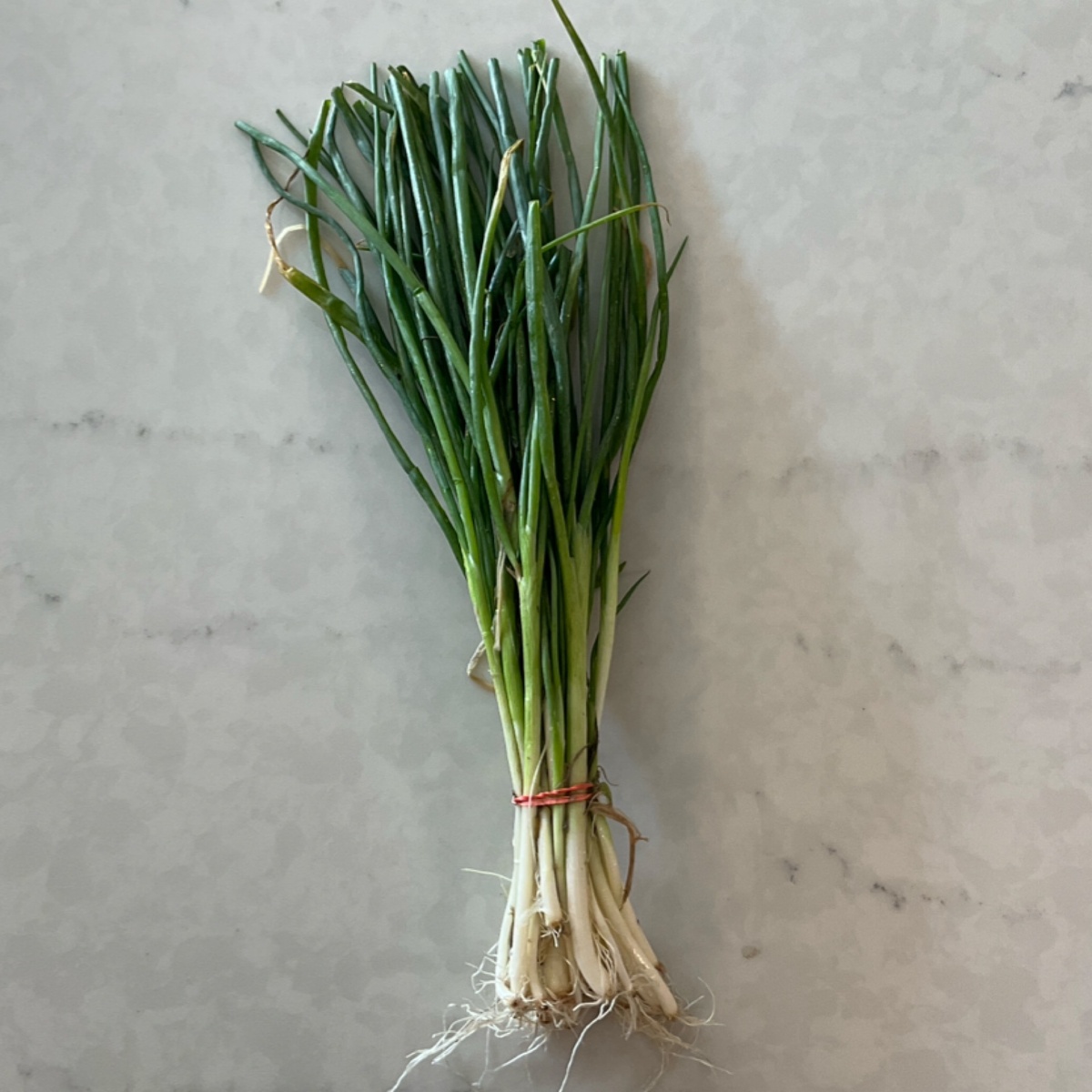 Wolff Farm Onions, Green Organic (per bunch)