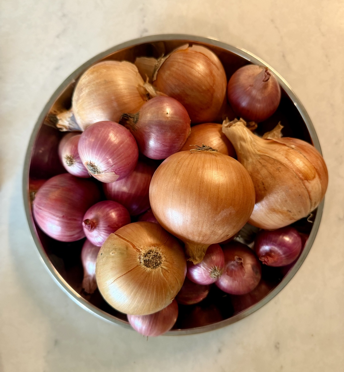 Meristem Farm Onions, White Spanish or Red, Organic