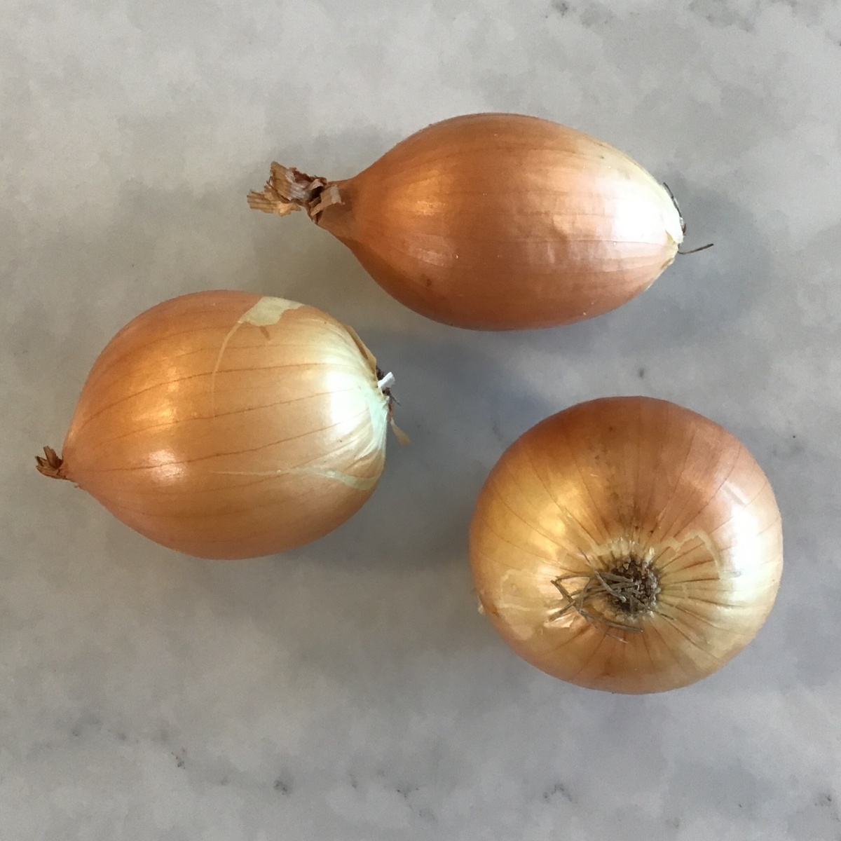 Meristem Farm Onions, Yellow and Red, Organic organic produce