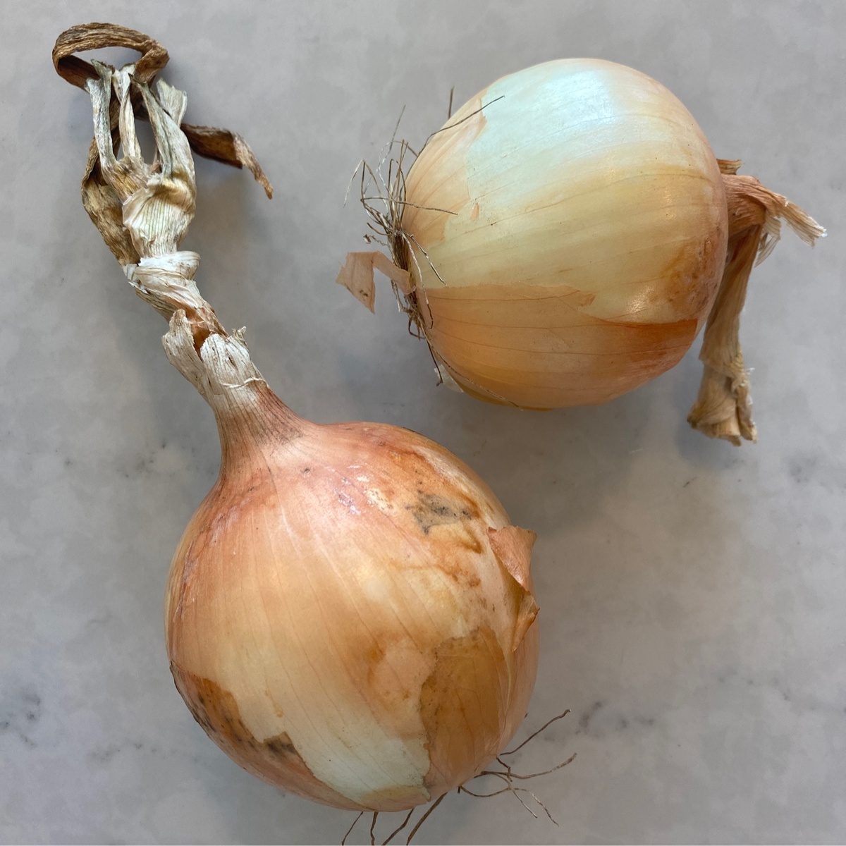Cedar Valley Farm Onions, Yellow, Candy