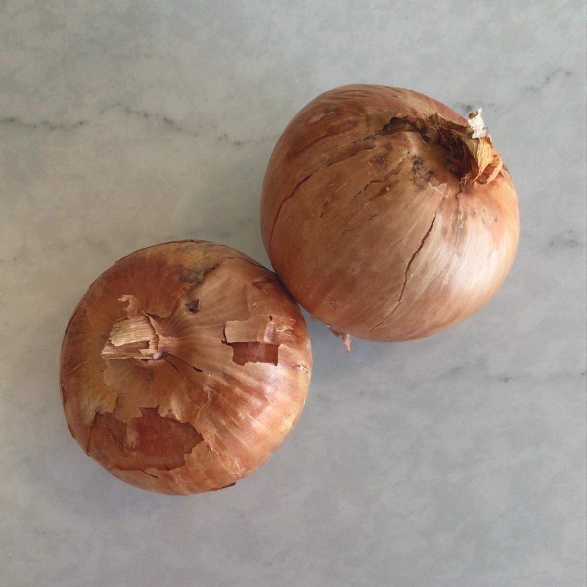 Cedar Valley Farm Onions, Yellow