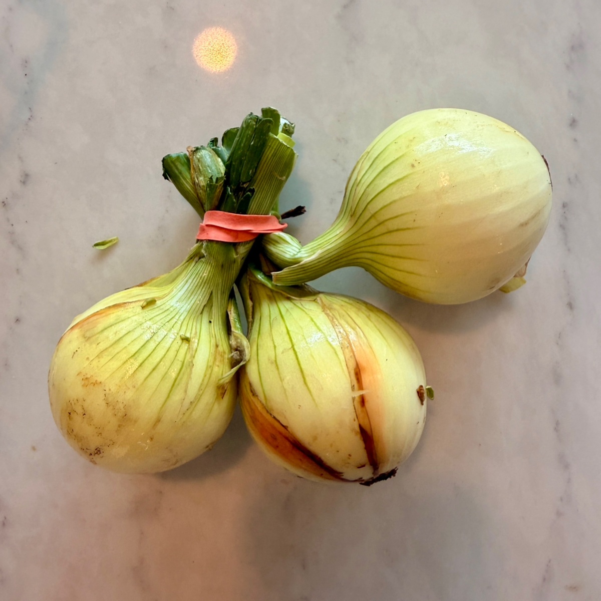Pekarek's Produce Onions, Yellow, Fresh (per bunch)