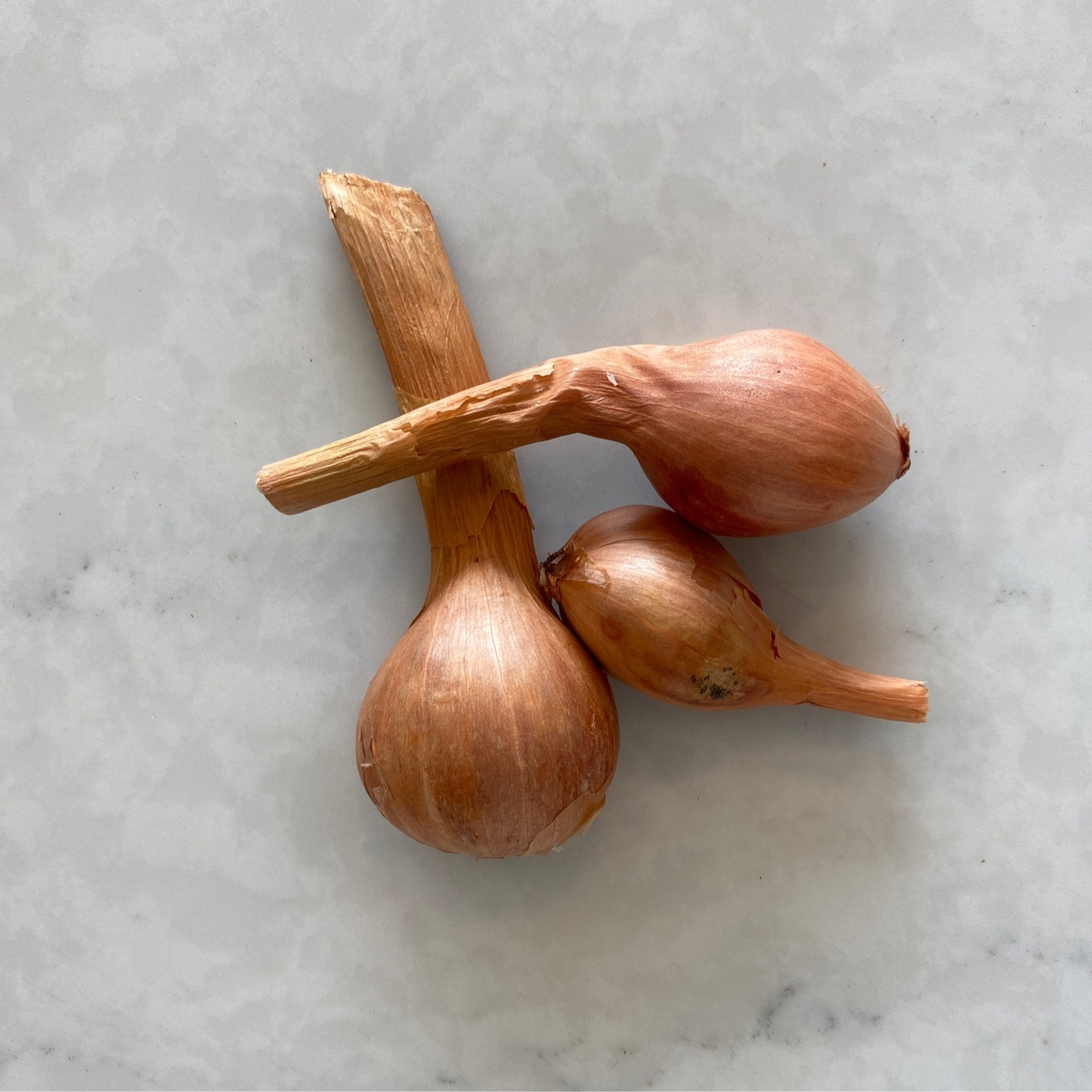 State Line Produce Shallots (50c/oz)