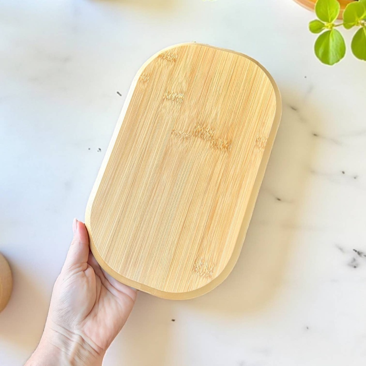 Bamboo Switch - Bamboo Compartment Plate solid bamboo - image 5