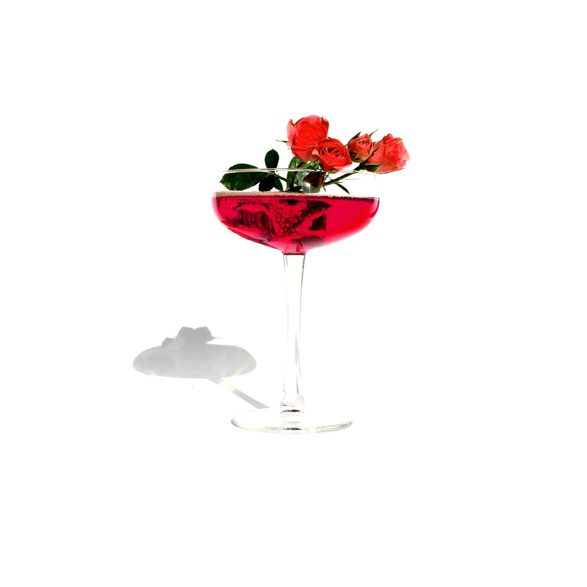 Curious Elixirs - Booze-Free Craft Cocktails (2 cocktails per bottle) real juices - image 11