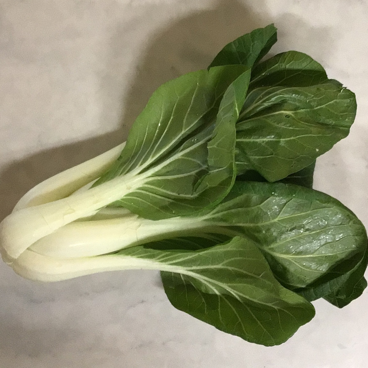 Bok Choy, Baby FPBOKCHOYB Long Walk Farm Bok Choy, Baby plant-based
