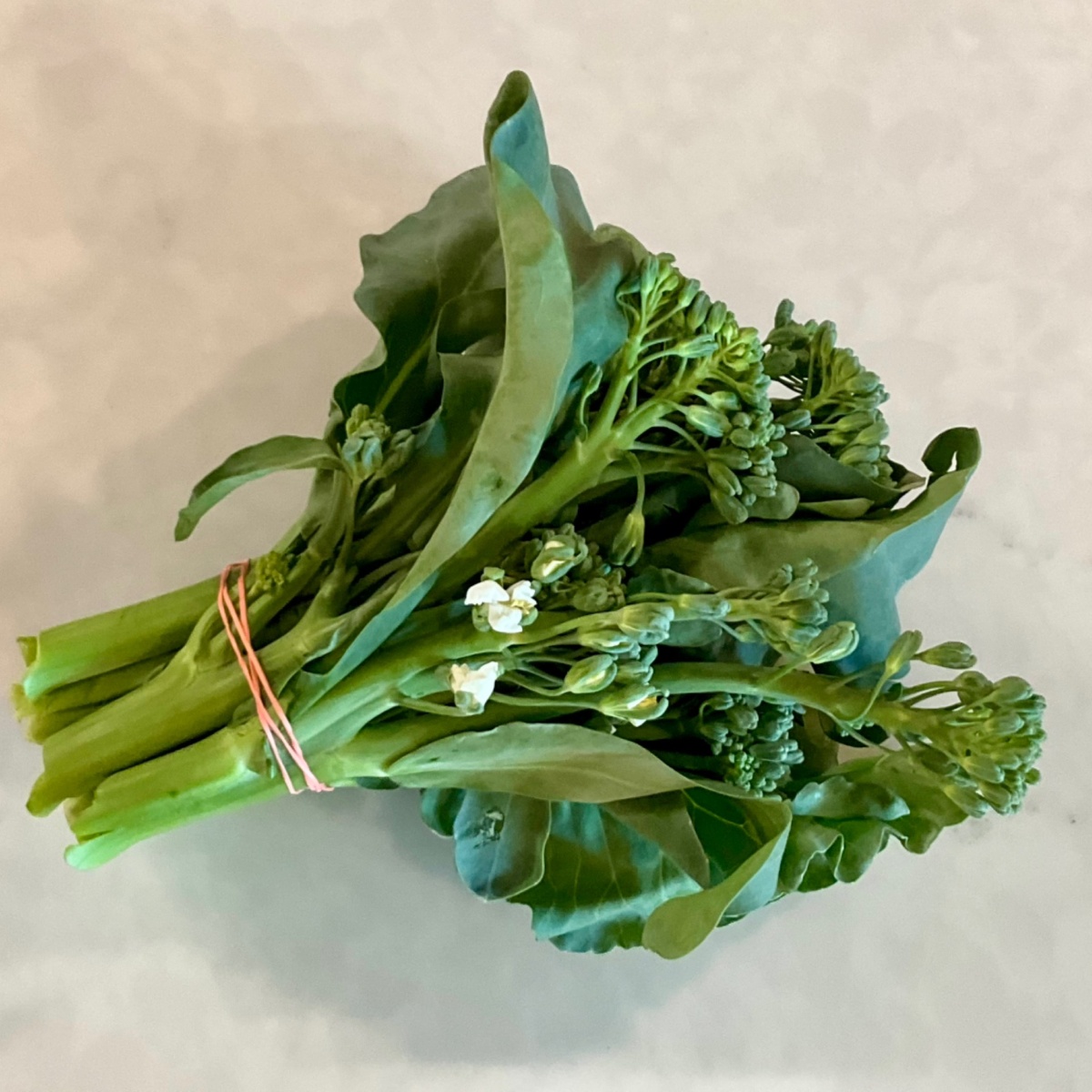 Wolff Farms Broccoli, Broccolini, Organic (each)