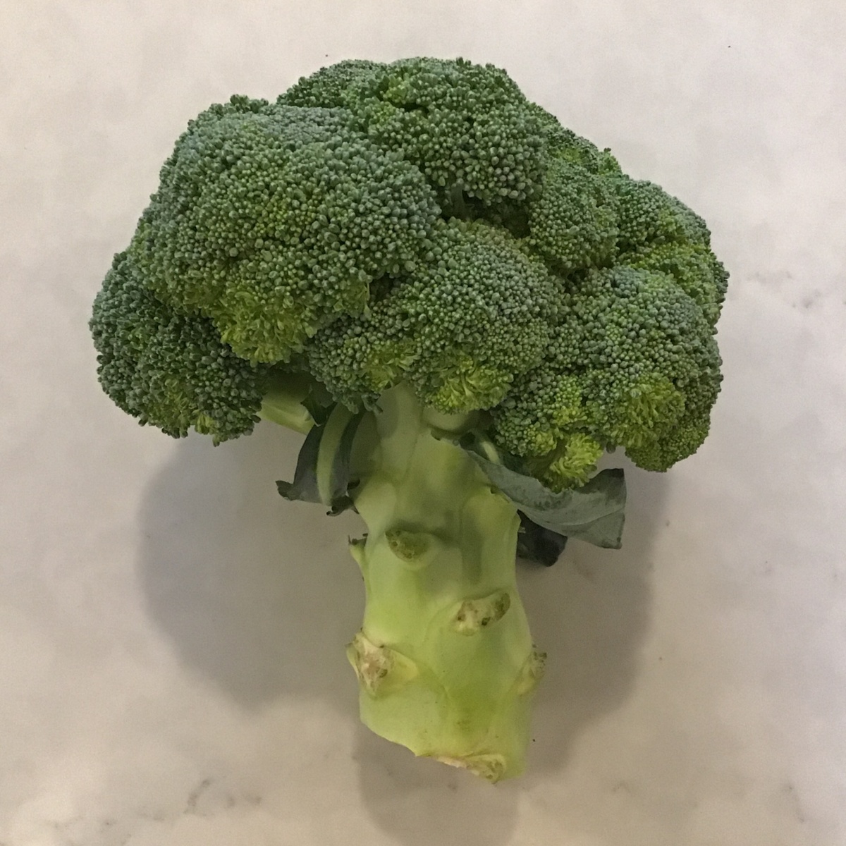 Abie Vegetable Broccoli