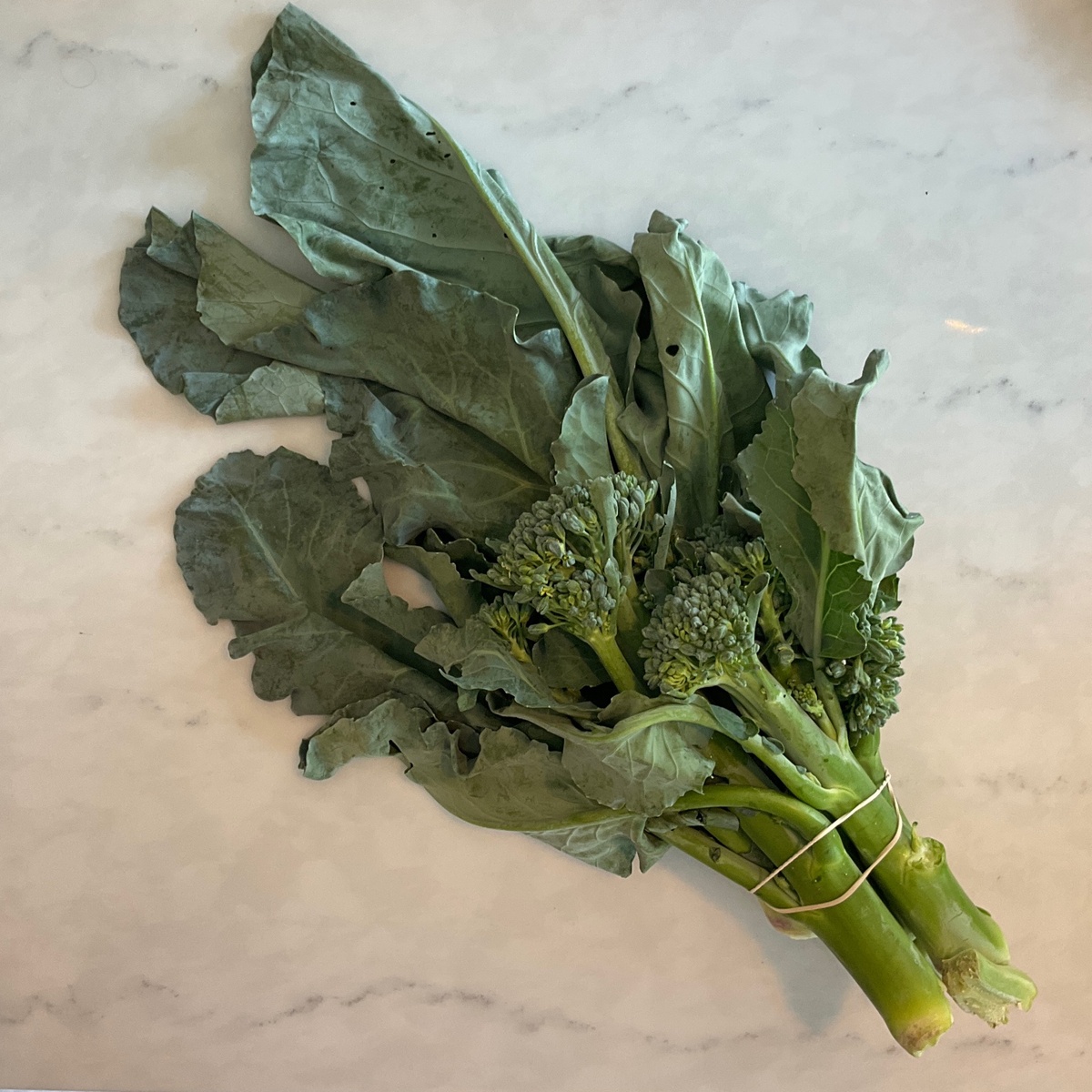 Long Walk Farm Broccolini, with Flowers (per bunch)