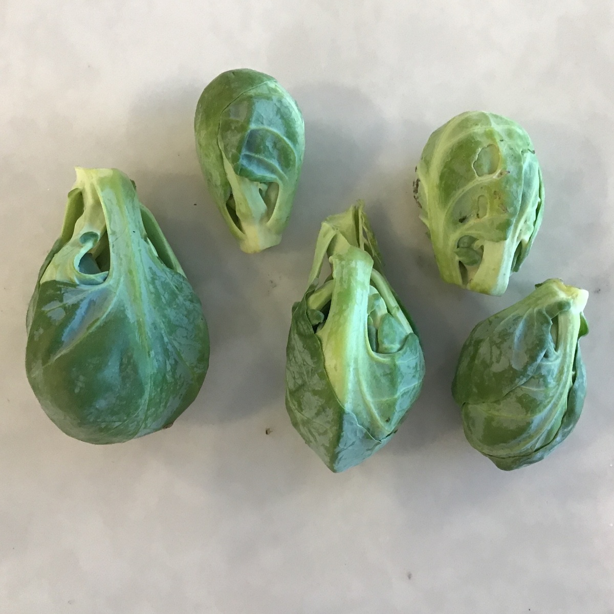 Hillside Farm Brussel Sprouts, Organics