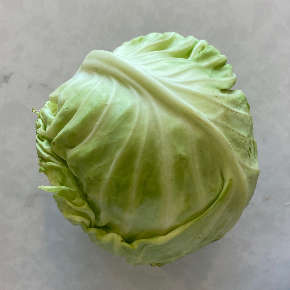 Pekarek's Produce Cabbage, Green (per Head)