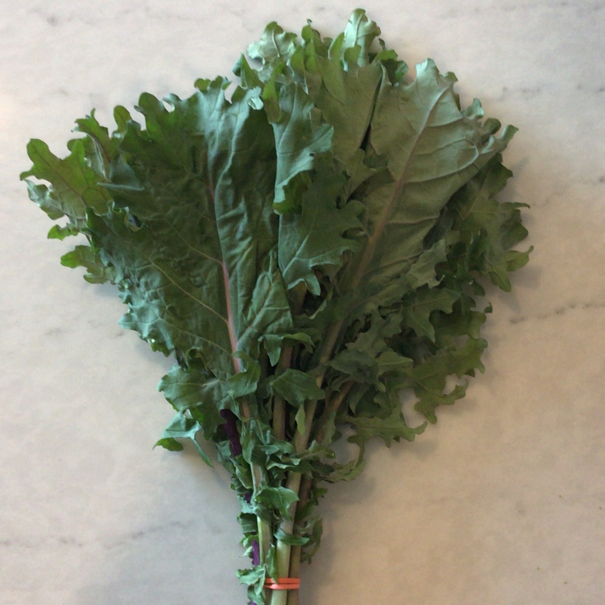 Wolff Farms Kale, Red Russian, Organic (per Bunch)