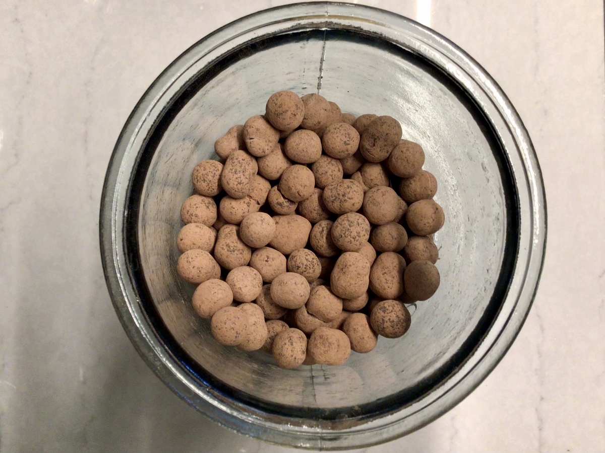 Essential Organics Hazelnuts, Dark Chocolate Covered, Cocoa Dusted gluten-free