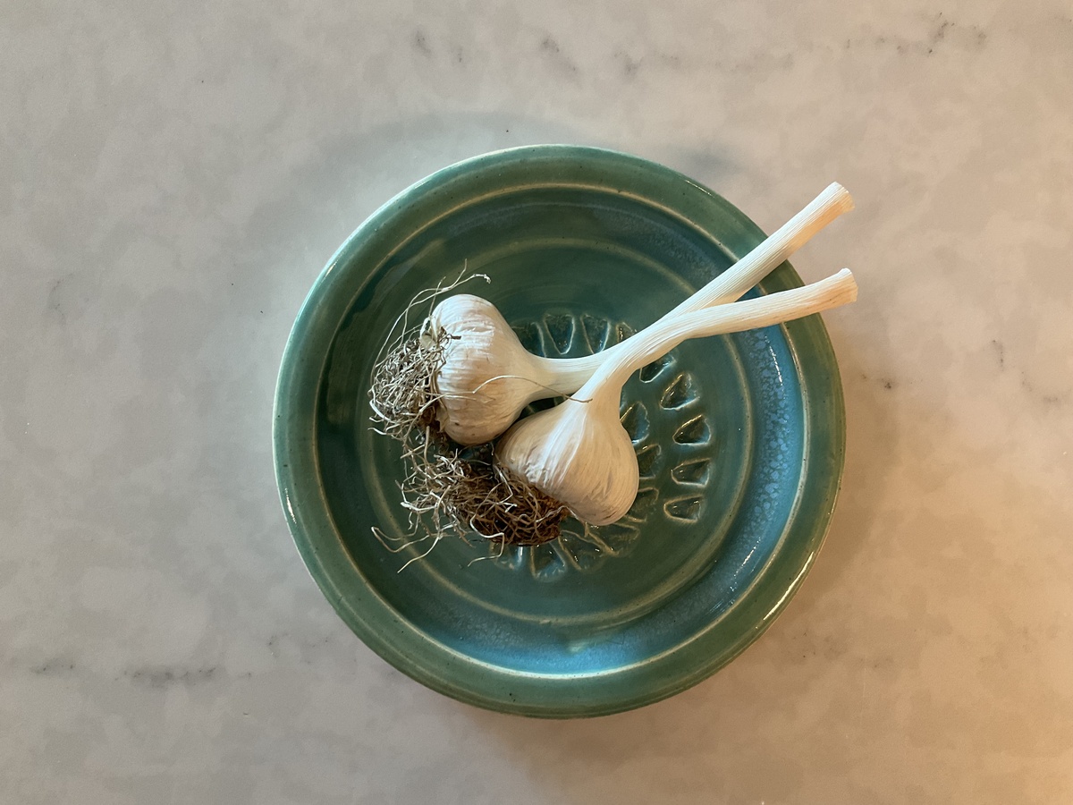 Gay Made Pottery – Ceramic Garlic Grater KTGMPGLGR Gay Made Pottery - Ceramic Garlic Grater - image 3