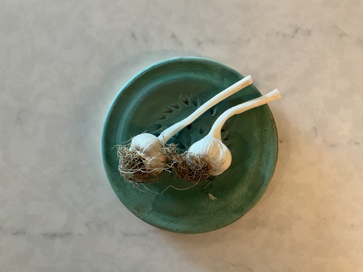 Gay Made Pottery - Ceramic Garlic Grater