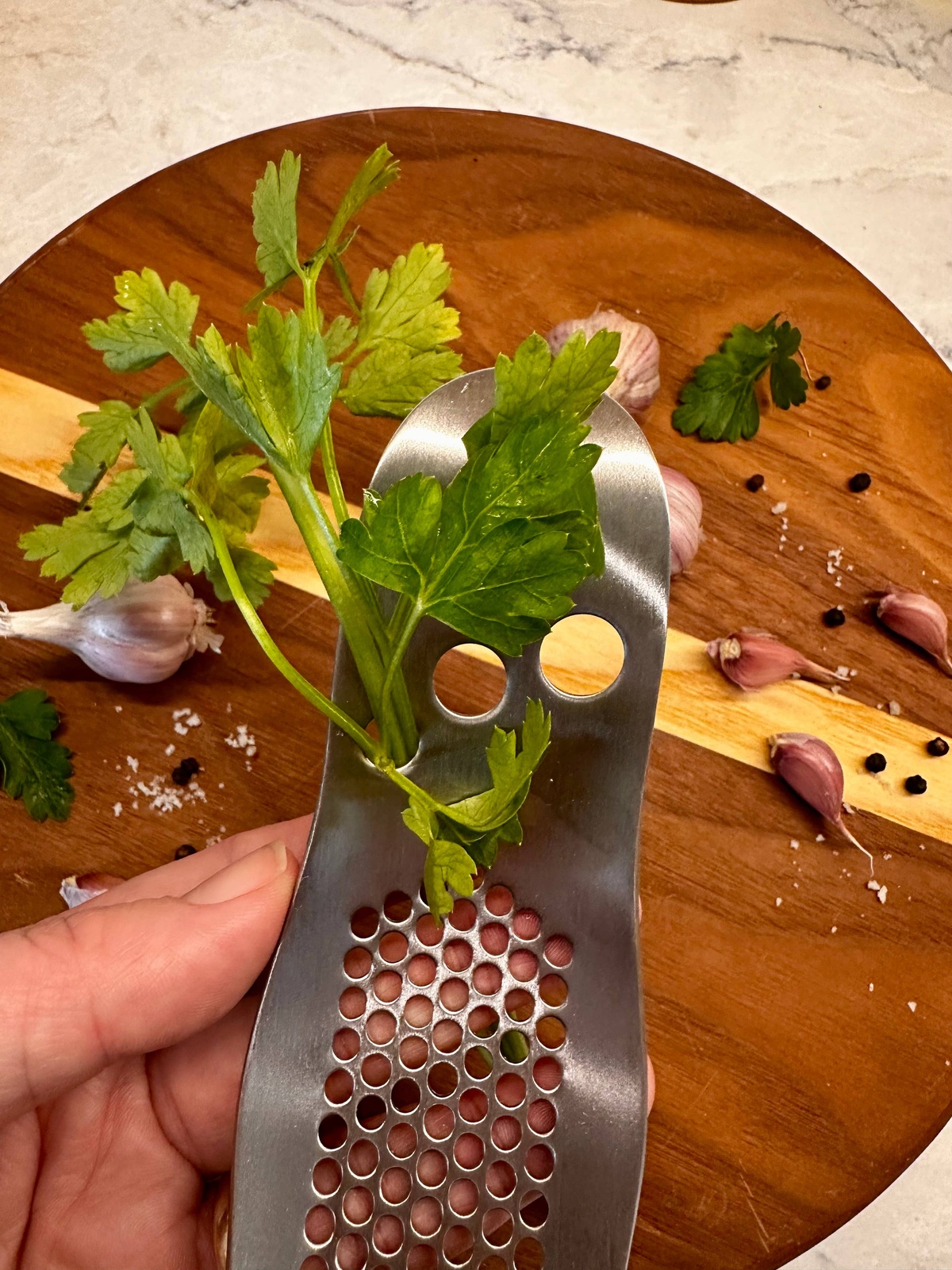 Zefiro – Garlic Press & Herb Stripper Zefiro - Garlic Press & Herb Stripper - image 2