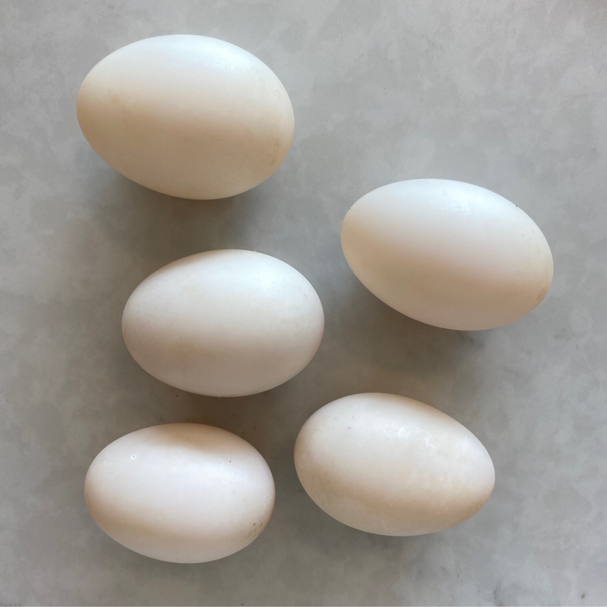 Sunny Seven Farms Duck Eggs, Pasture-Raised, Sunny Seven Farms (Half Dozen)