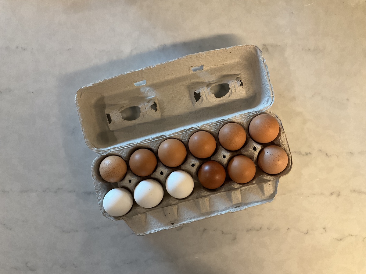 Sunny Seven Farms Eggs, Large Pasture Raised, Sunny Seven Farms (dozen)