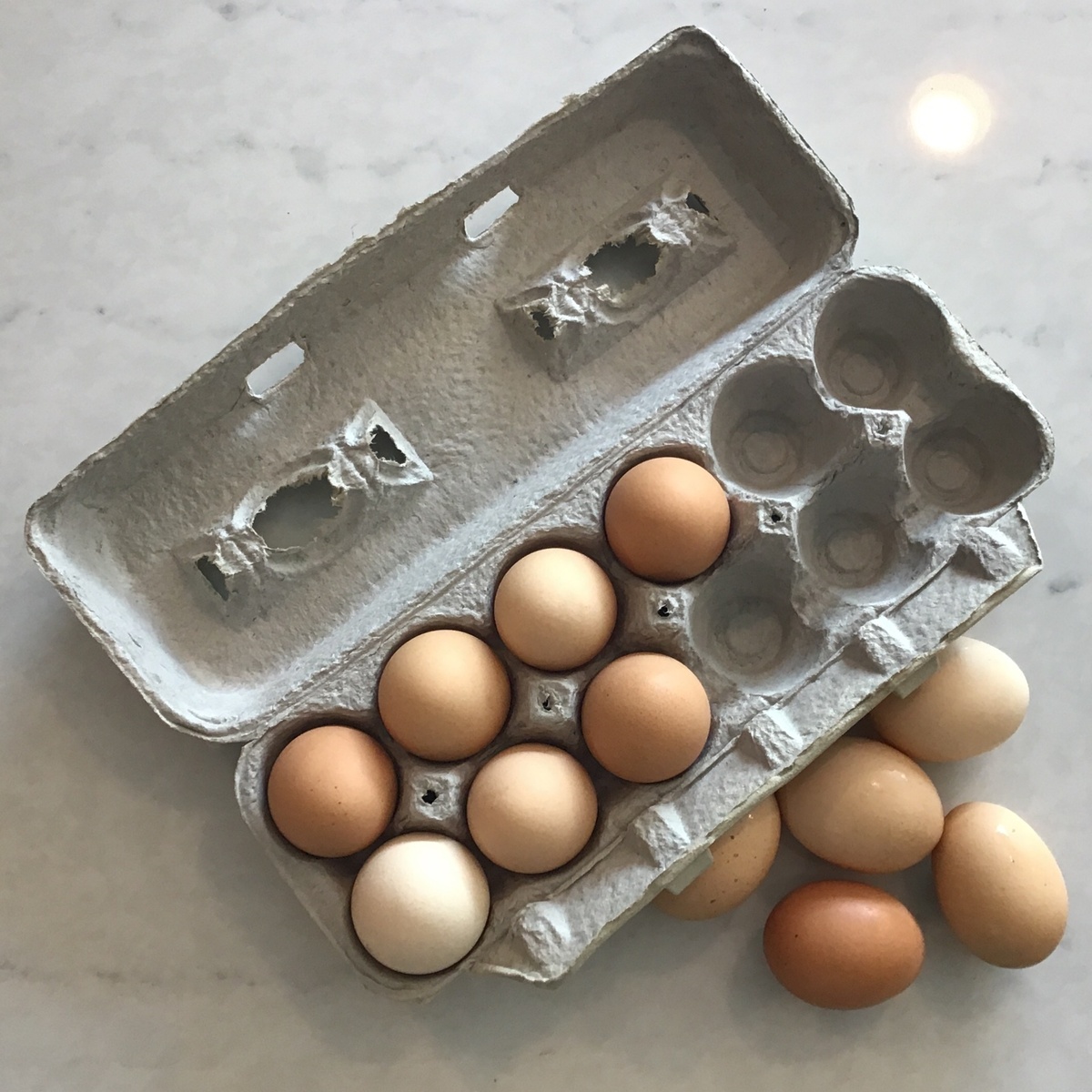 Sunny Seven Farms Eggs, Medium, Pasture-Raised, Sunny Seven Farms (dozen)