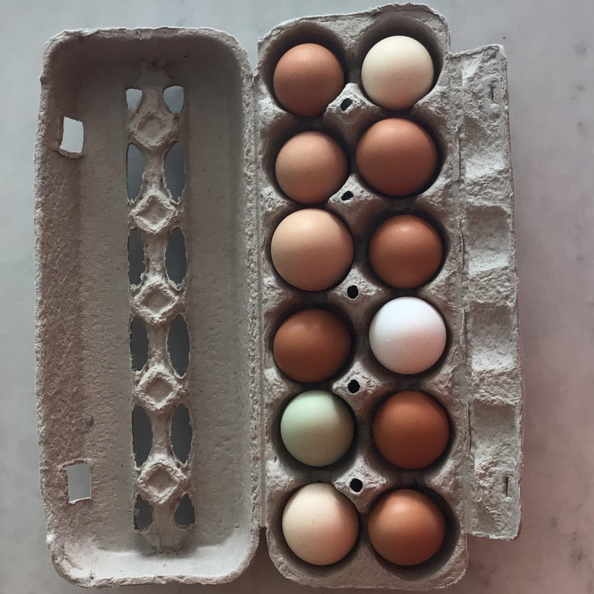 Meristem Farms Eggs, Organic, Pasture Raised, Meristem Farm (dozen)