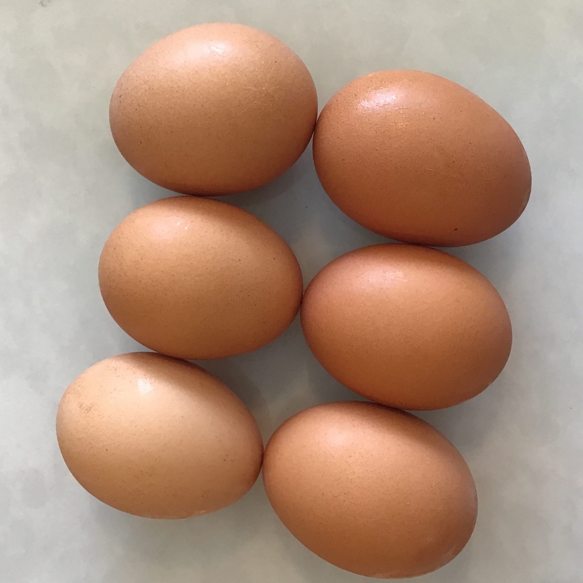 Rossman Family Farms Eggs, Organic, Rossman Family Farms (dozen)
