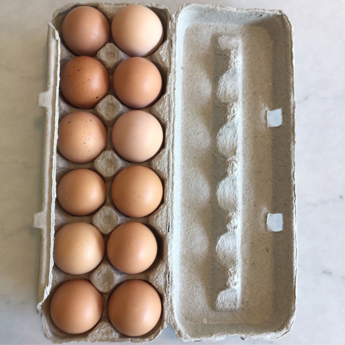 Fork Tail Farm Eggs, Pasture-Raised, Fork Tail Farm ($5.5 to $7.5 a dozen)