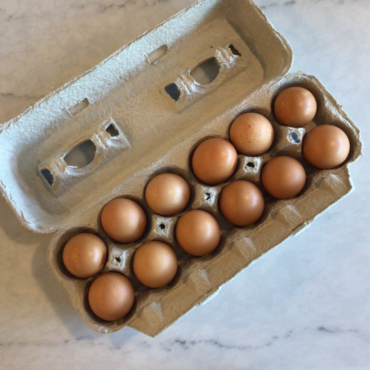 Early Morning Harvest Eggs,Small-Pullet, Pasture-Raised
