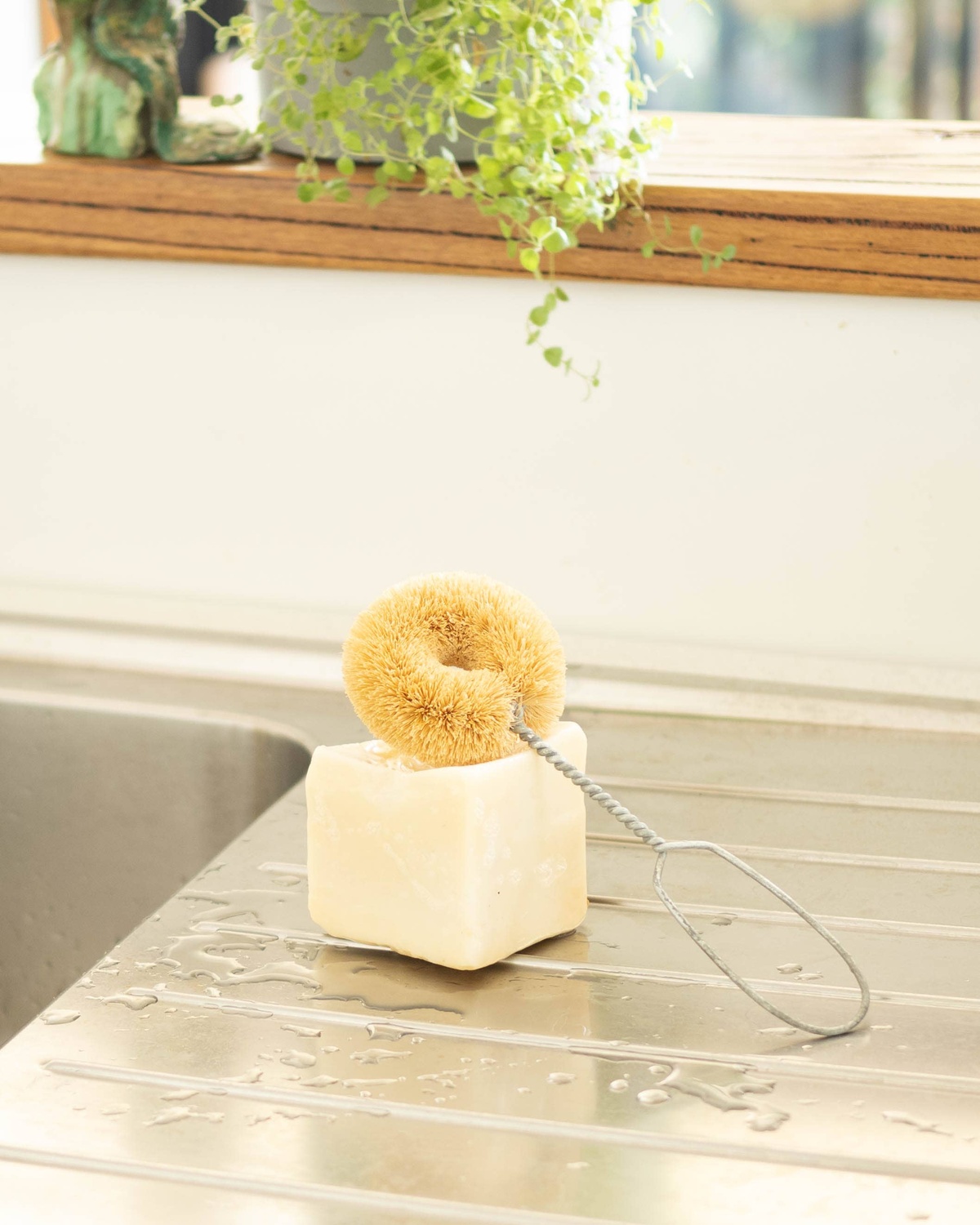 Ethical Global - ZerO Dish Brush, Steel Handle