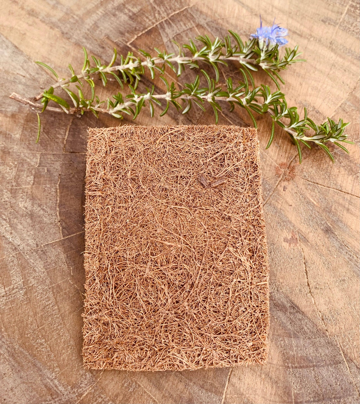 Marasol - Cellulose Sponge + Coconut Scrub Pad coconut husk fibers - image 6