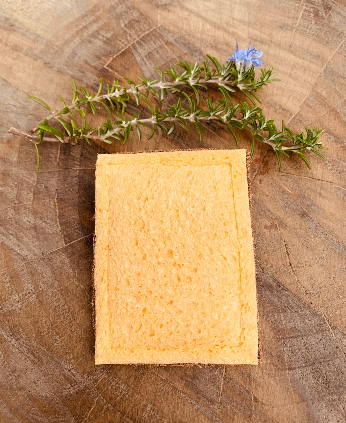Marasol - Cellulose Sponge + Coconut Scrub Pad coconut husk fibers - image 5