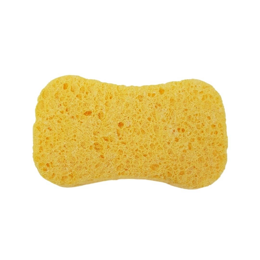 Natural’sace – Non-scratching dual-layer sponge Natural'sace - Non-scratching dual-layer sponge plant composition - image 8