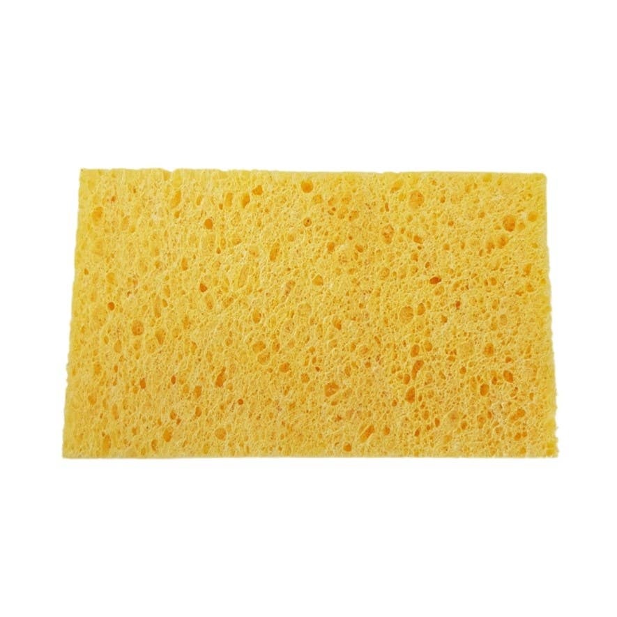 Natural’sace – Non-scratching dual-layer sponge Natural'sace - Non-scratching dual-layer sponge plant composition - image 4