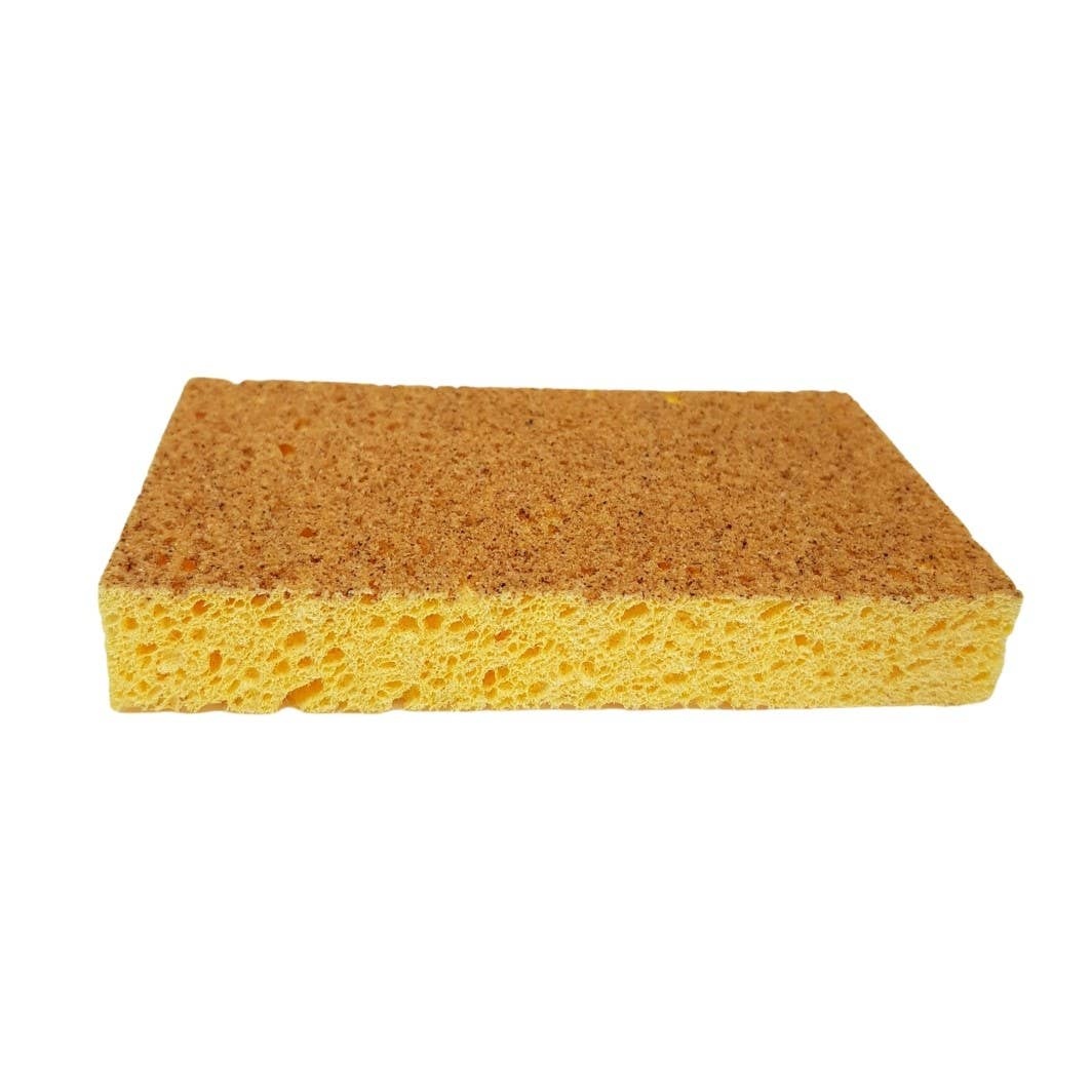 Natural’sace – Non-scratching dual-layer sponge Natural'sace - Non-scratching dual-layer sponge plant composition - image 2
