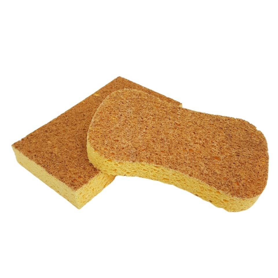 Natural'sace - Non-scratching dual-layer sponge plant composition