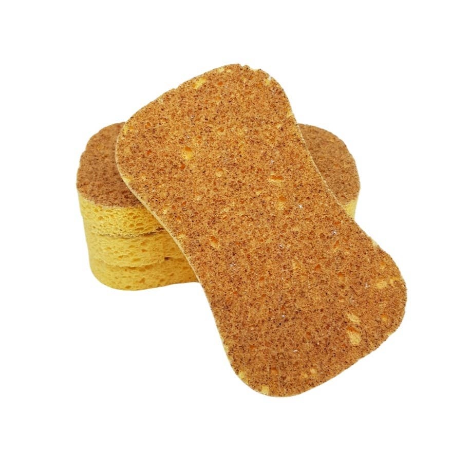 Natural’sace – Non-scratching dual-layer sponge Natural'sace - Non-scratching dual-layer sponge plant composition - image 9