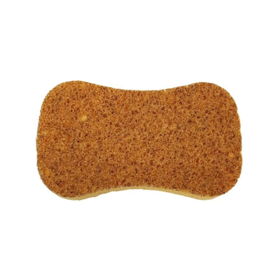 Natural’sace – Non-scratching dual-layer sponge Natural'sace - Non-scratching dual-layer sponge plant composition - image 7