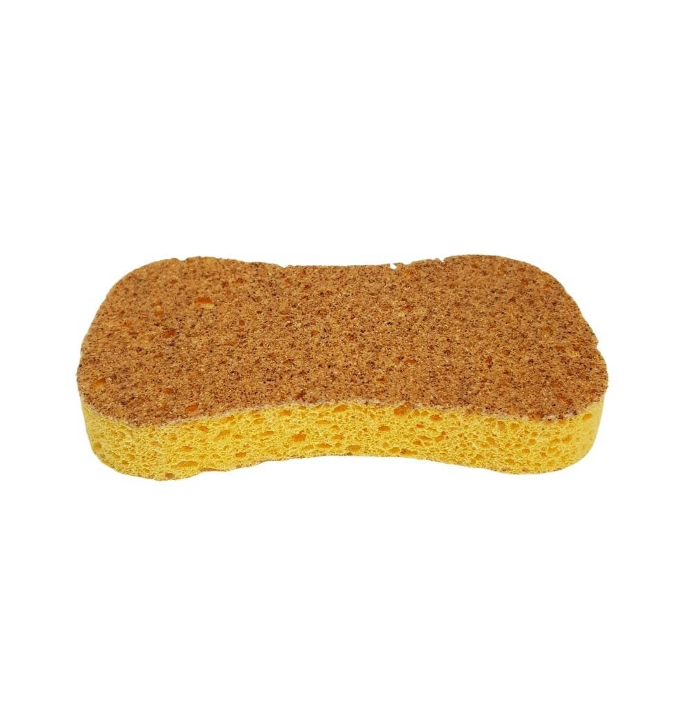 Natural’sace – Non-scratching dual-layer sponge Natural'sace - Non-scratching dual-layer sponge plant composition - image 6