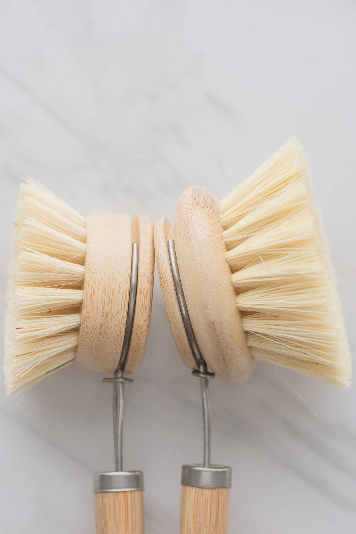 No Tox Life - CASA AGAVE® dish brush (replacement head only) biodegradable - image 10