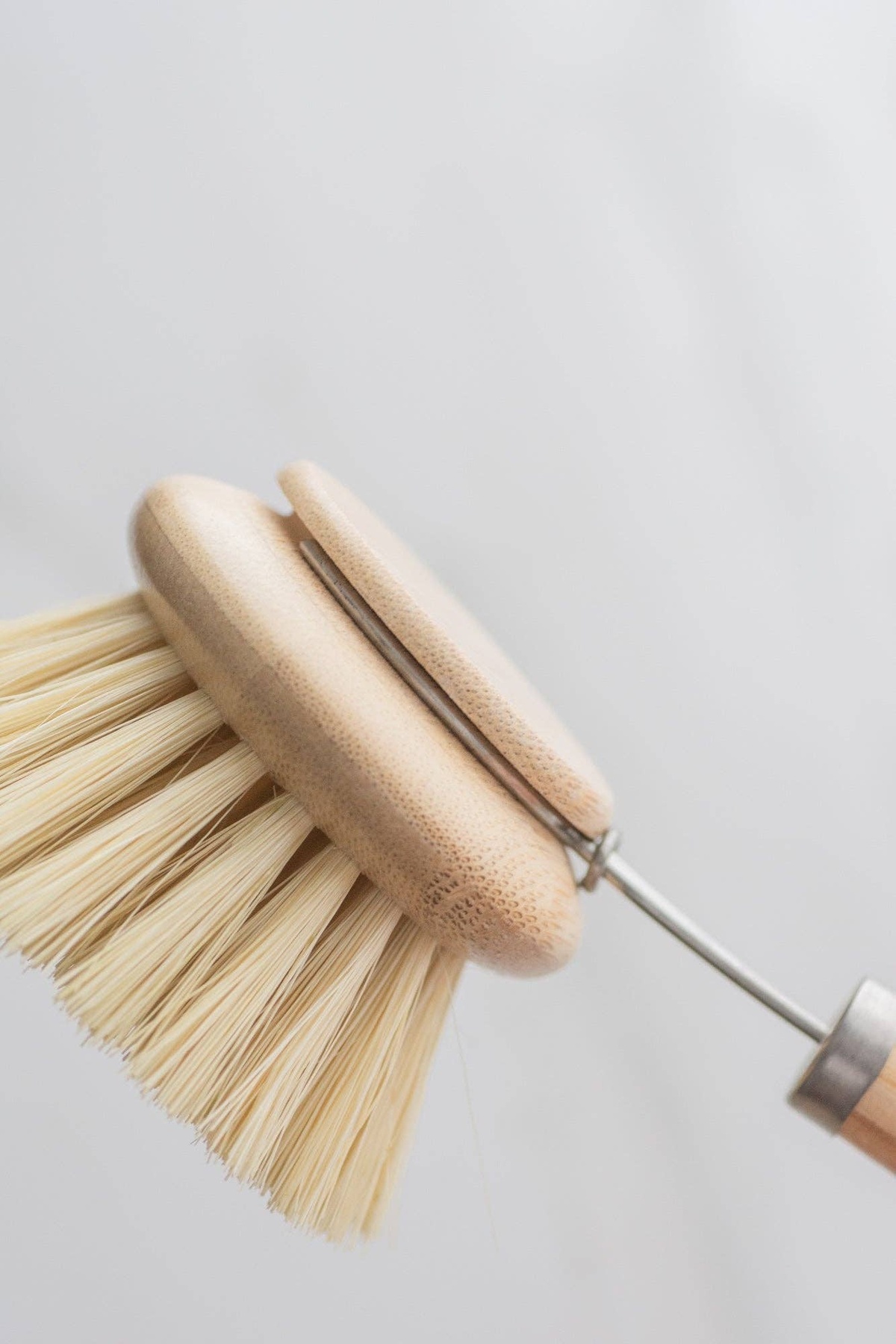 No Tox Life - CASA AGAVE® dish brush (replacement head only) biodegradable - image 4
