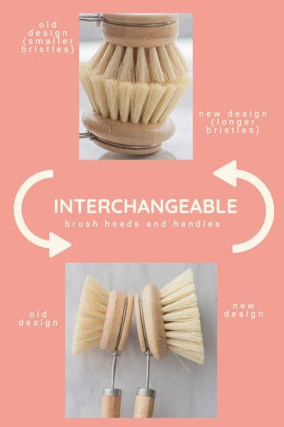 No Tox Life - CASA AGAVE® dish brush (replacement head only) biodegradable - image 5