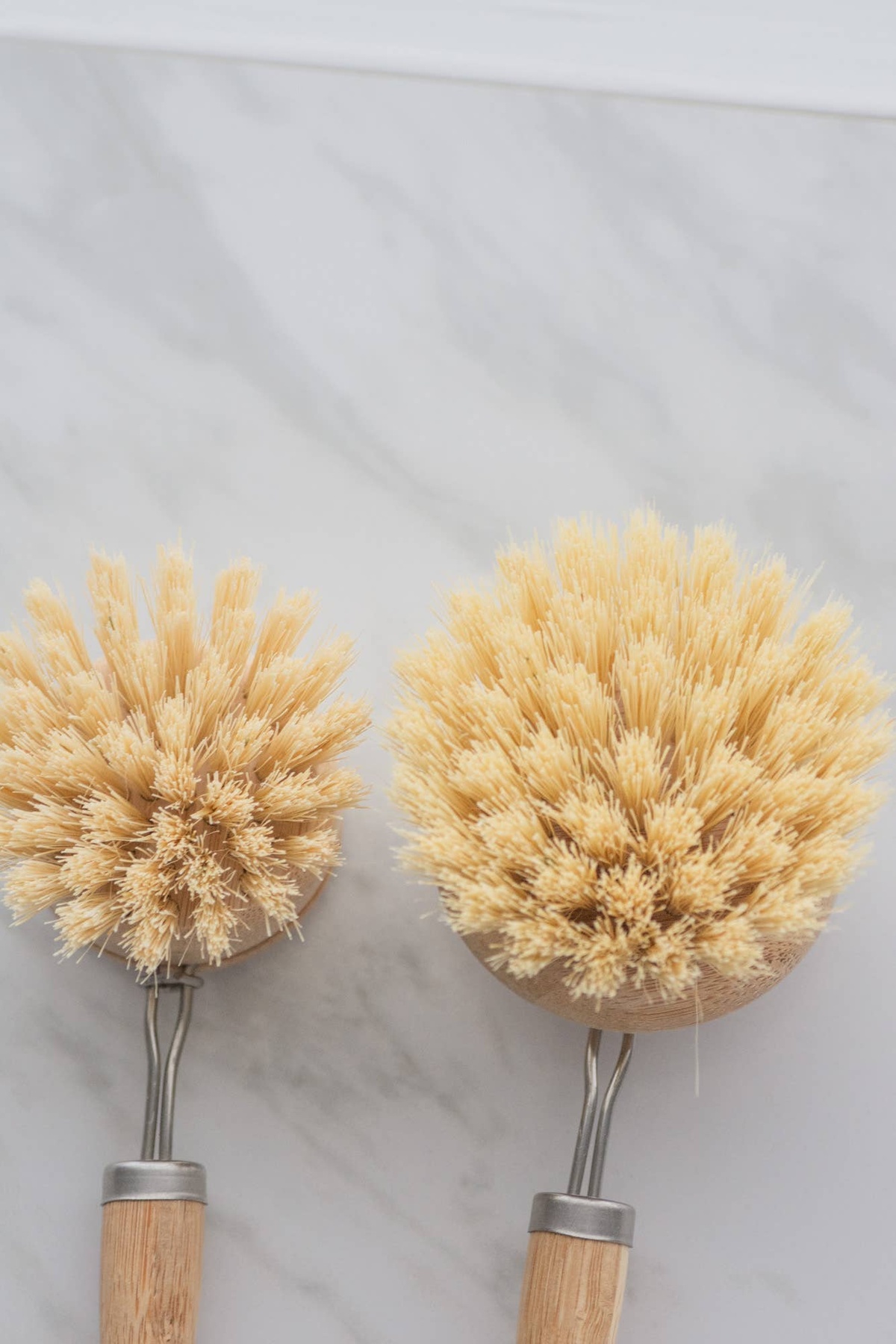 No Tox Life - CASA AGAVE® dish brush (replacement head only) biodegradable - image 9