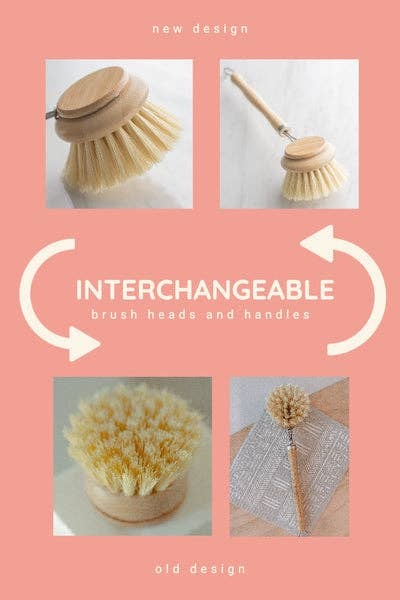 No Tox Life - CASA AGAVE® dish brush (replacement head only) biodegradable - image 6