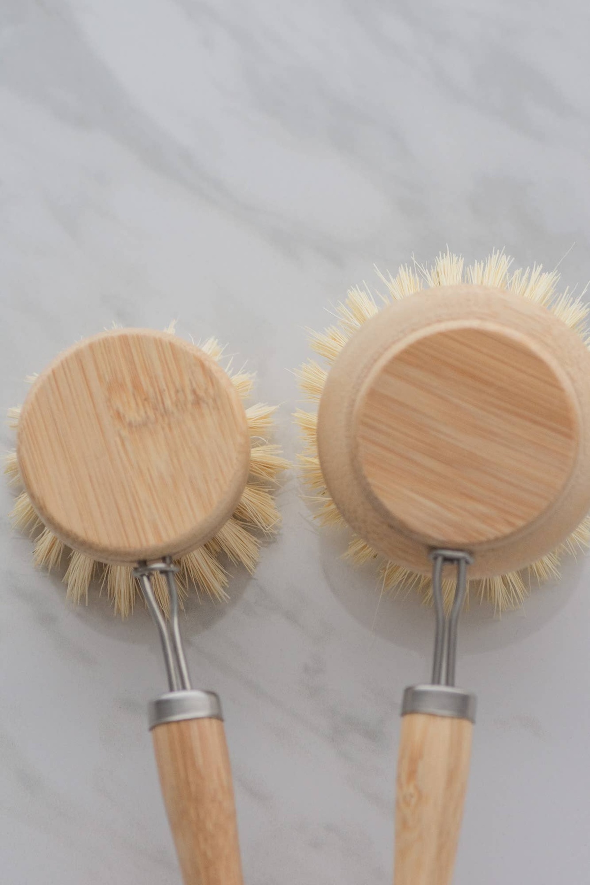 No Tox Life - CASA AGAVE® dish brush (replacement head only) biodegradable - image 8