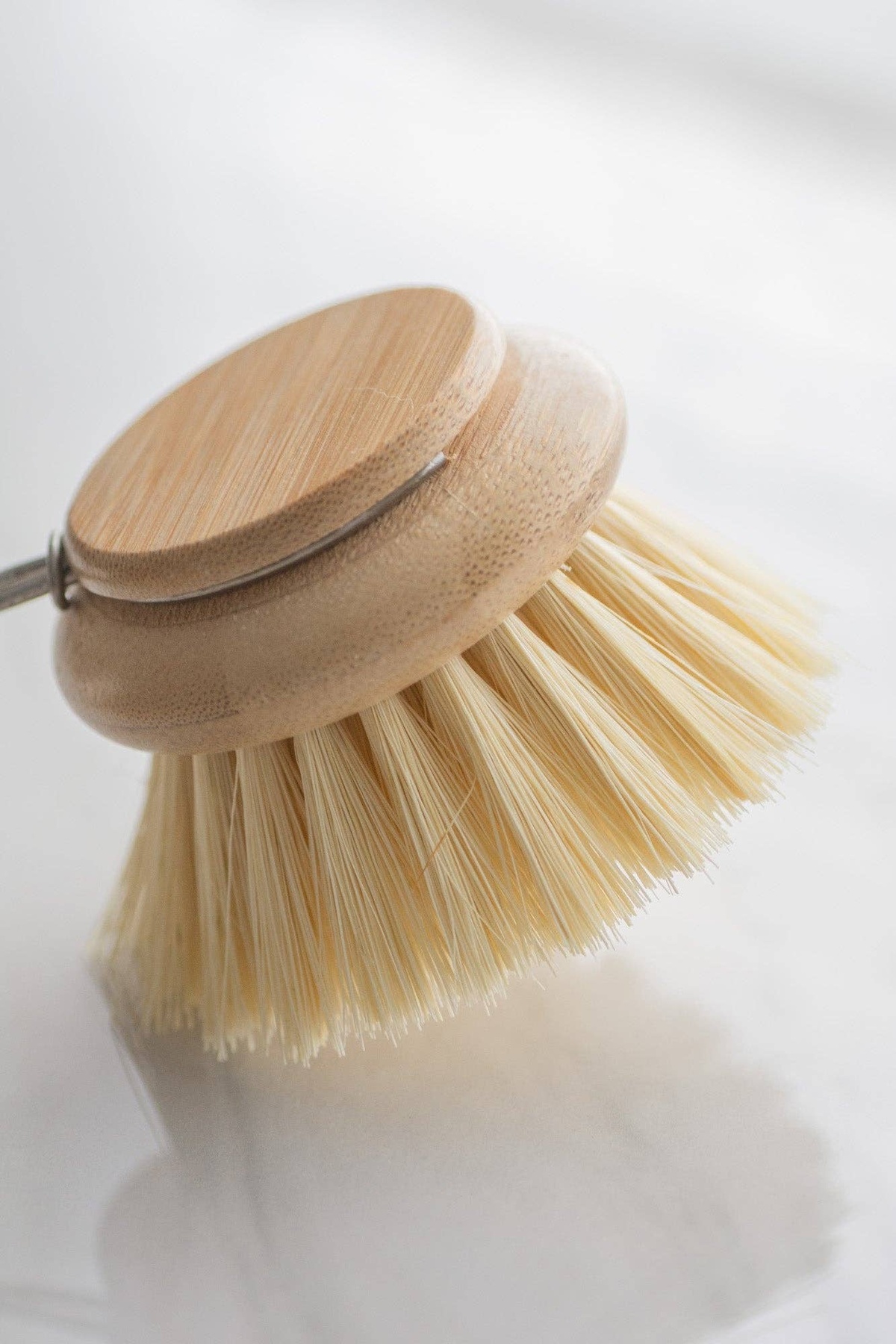 No Tox Life - CASA AGAVE® dish brush (replacement head only) biodegradable - image 2