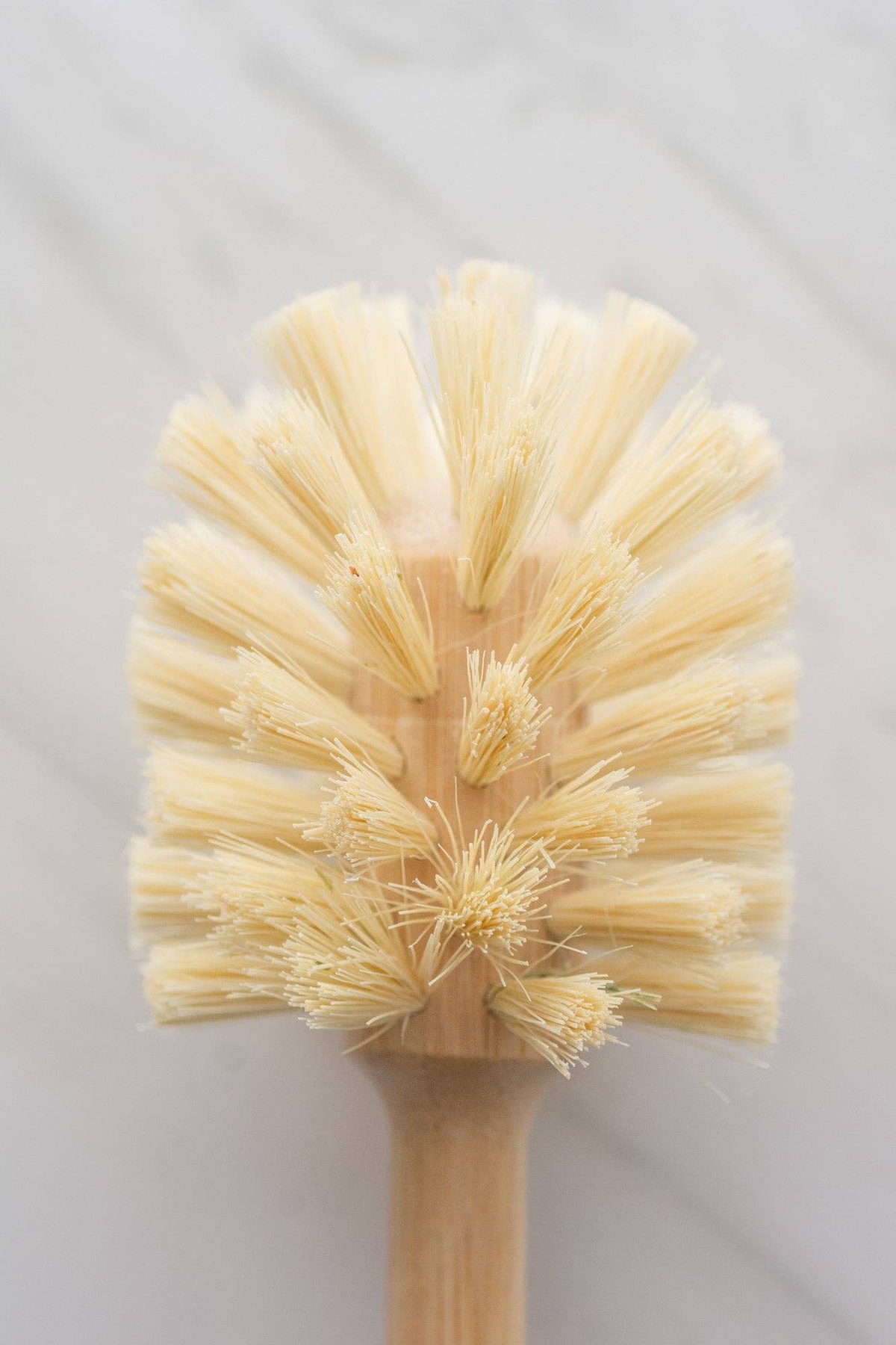 No Tox Life – CASA AGAVE® Sphere Dish Brush 850004270400 No Tox Life - CASA AGAVE® Sphere Dish Brush plastic-free - image 4