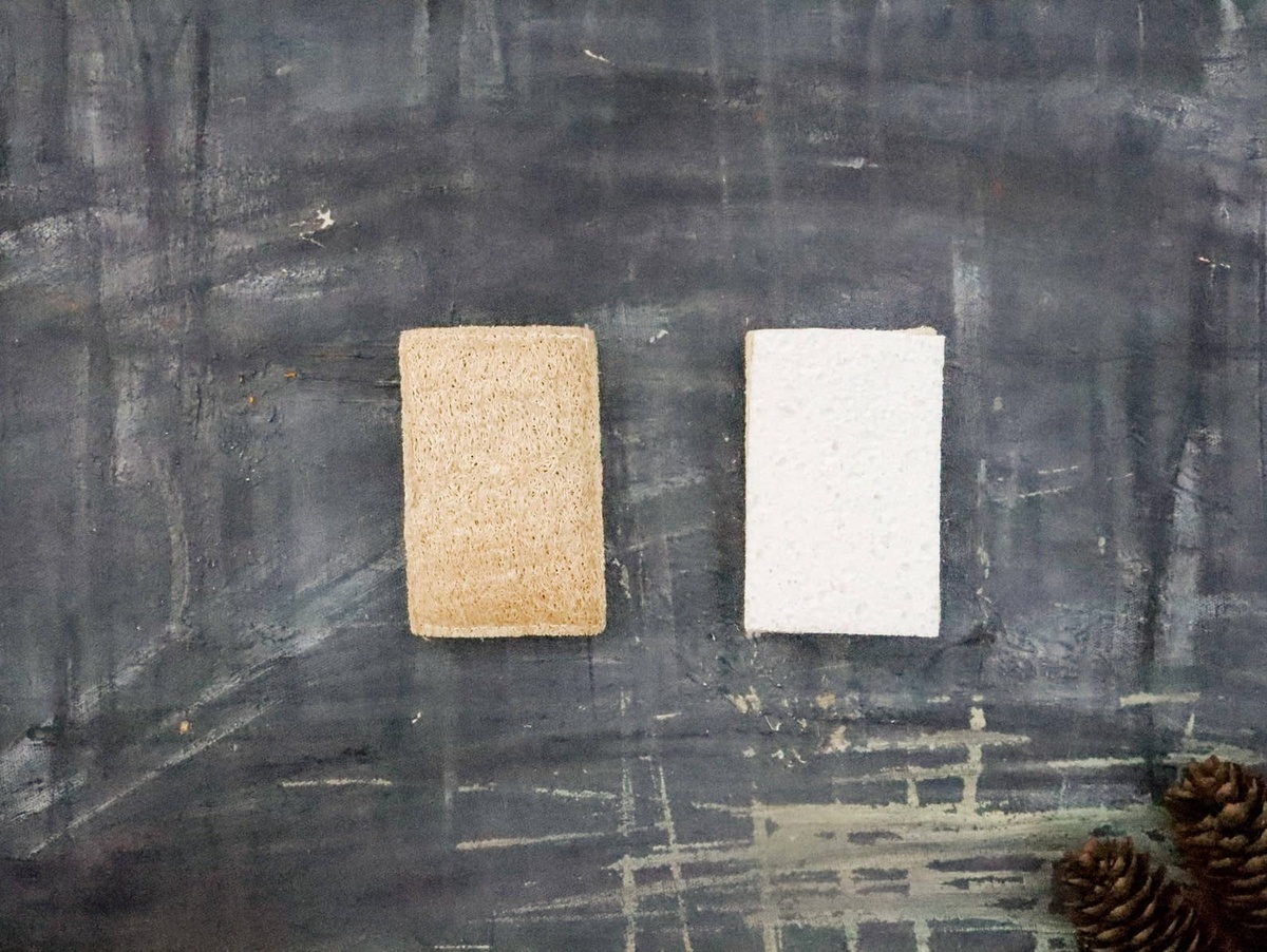 Plantish - Eco Sponge - Loofah + Cellulose Sponge plastic-free - image 2